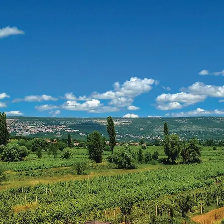 Four-bedroom In Lokvicici *